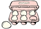immagine uova