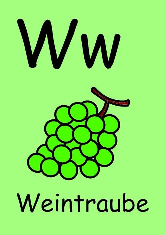 w